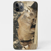 Slaapende Rhino Case-Mate iPhone Case (Achterkant)