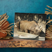 Slaapende Rhino Fotoplaat (Zijkant)