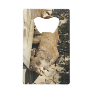 Slaapende Rhino Kredietkaart Flessenopener