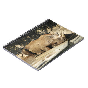 Slaapende Rhino Notitieboek