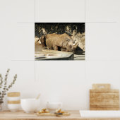 Slaapende Rhino Poster (Keuken)