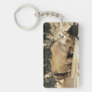 Slaapende Rhino Sleutelhanger
