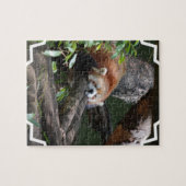 Slaapende Rode Panda-puzzel Legpuzzel (Horizontaal)