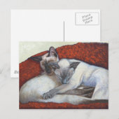 Slaapende Siamese Cat Art Briefkaart (Voorkant / Achterkant)