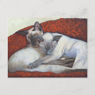 Slaapende Siamese Cat Art Briefkaart