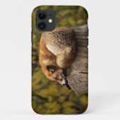 Slaapfoto Case-Mate iPhone Case (Achterkant)