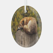 Slaapfoto Glas Ornament (Voorkant links)