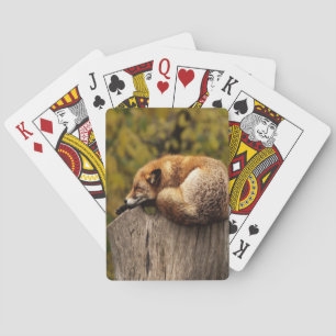 Slaapfoto Pokerkaarten