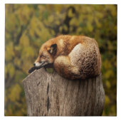 Slaapfoto Tegeltje (Voorkant)