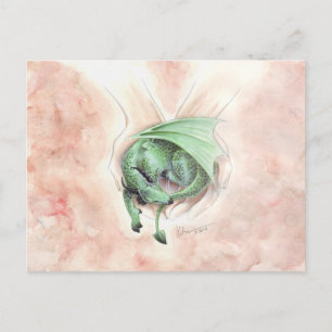 Slaapgoer 2013 briefkaart