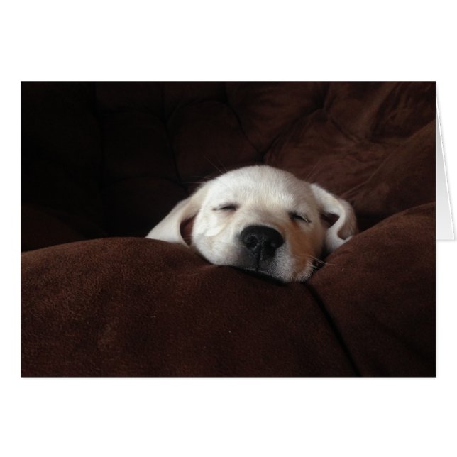 Slaapgracie (Voorkant Horizontaal)