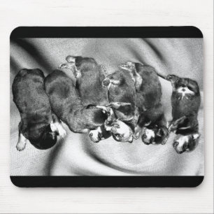 slaaphoofdrottweiler-puppies muismat