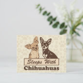 Slaapjes met Chihuahuas Briefkaart (Staand voorkant)