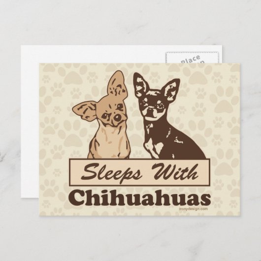 Slaapjes met Chihuahuas Briefkaart (Voorkant / Achterkant)