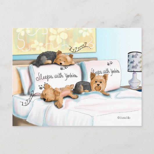 Slaapjes met Yorkies Briefkaart (Voorkant)