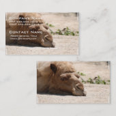 Slaapkamel Visitekaartje (Voorkant / Achterkant)