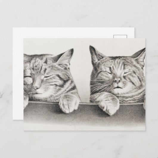  slaapkamergraaf, 1874 briefkaart (Voorkant / Achterkant)