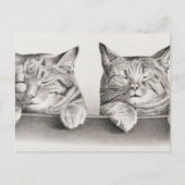  slaapkamergraaf, 1874 briefkaart (Voorkant)