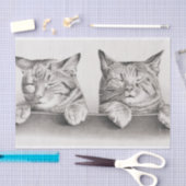  slaapkamergraaf, 1874-decoupage tissuepapier (Craft)