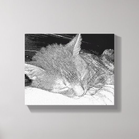 Slaapkat Canvas Afdruk (Voorkant)