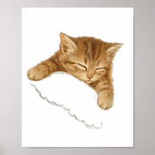Slaapkat Grafisch, Vintage Kat Liefhebber T-shirt, Poster