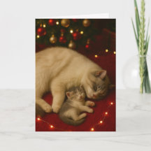 Slaapkatten Kerstmis Vouwkaart