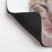 Slaapkitten Muismat (Hoek)