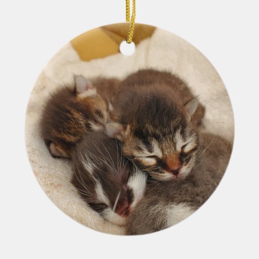 Slaapkittens Keramisch Ornament (Voorkant)