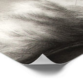 Slaapkop Hoofd Poster van de munt (Hoek)