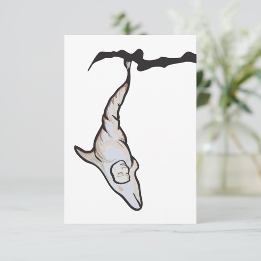 slaapkopdolfijnencoon kaart (Staand voorkant)