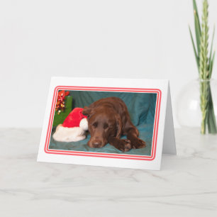 Slaaplabrador met kerstmuts foto feestdagen kaart