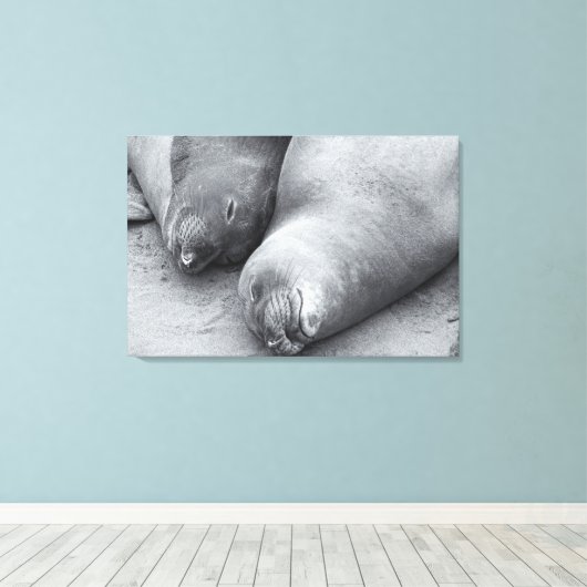 Slaapmaatjes Canvas Afdruk (Insitu (Houten vloer))