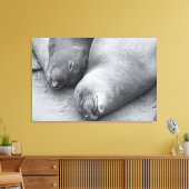 Slaapmaatjes Canvas Afdruk (Insitu (Woonkamer))