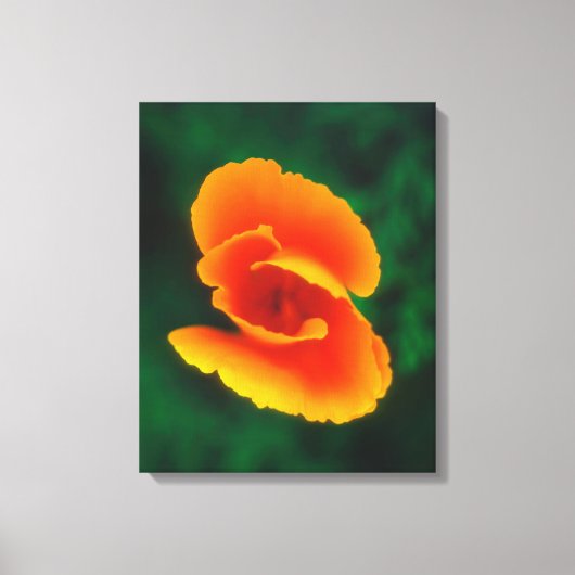 Slaapmutsje Canvas Afdruk (Voorkant)