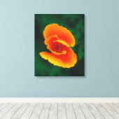 Slaapmutsje Canvas Afdruk (Insitu (Houten vloer))