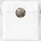 Slaapneushoorns Stickers (Tas)