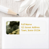 Slaappanter Mailing Label (Insitu)