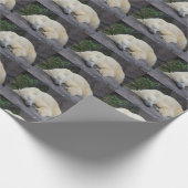 Slaappolair Beer Cadeaupapier (Hoek)