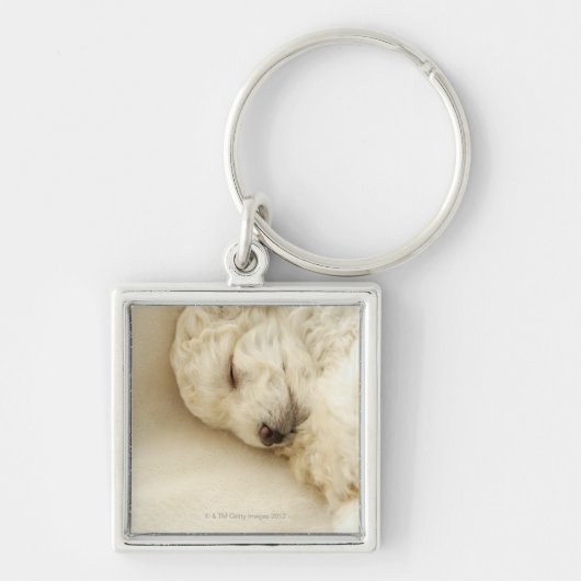 Slaappupil Sleutelhanger (Voorkant)