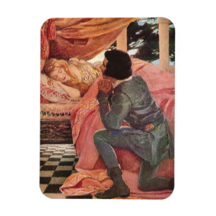  slaapschoonheid van Jessie Willcox Smith Magneet