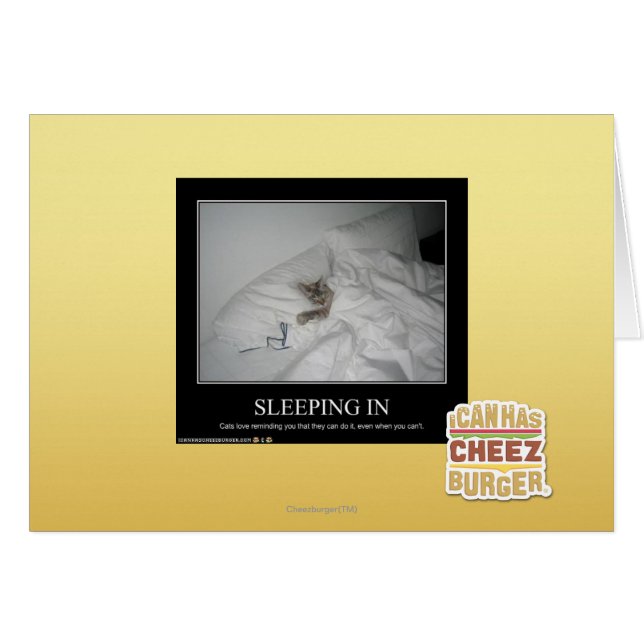 Slaapstand (Voorkant Horizontaal)