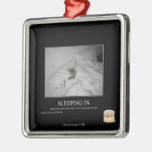 Slaapstand Metalen Ornament (Links)