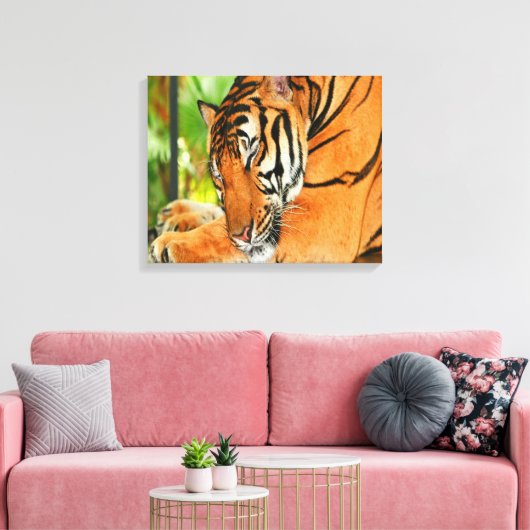 Slaaptijger Canvas Afdruk (Insitu (Woonkamer))