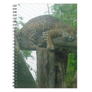 Slaaptijger op bomen, bos, Natuur, wild Notitieboek