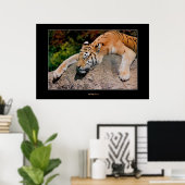 Slaaptijger Poster (Thuiskantoor)