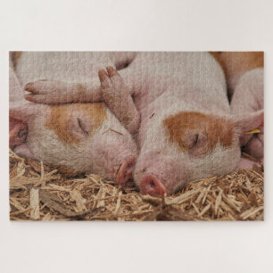 Slaapvarkens Legpuzzel