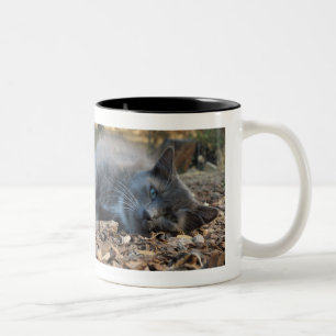 Slaapvolle Mok voor katten en kranen