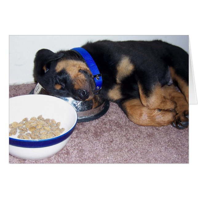 slaapwandelaar. (Voorkant Horizontaal)