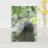 Slaapwasbeer Wenskaart Kaart (Gele Bloem)