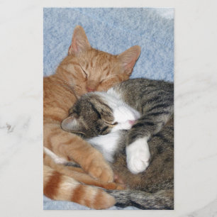 Slaapwel Briefpapier